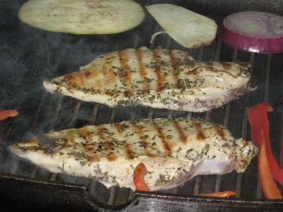 chicken 004 chicken 004