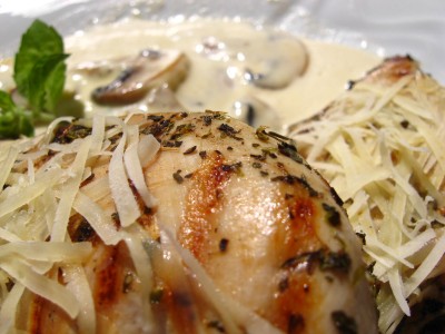 chicken 022 chicken 022