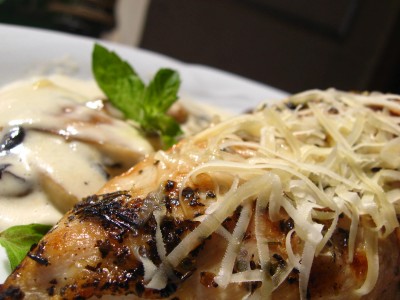 chicken 029 chicken 029