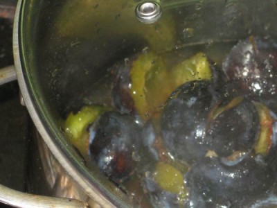 desert cu prune 006