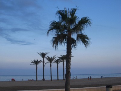 vacanta 002 vacanta 002