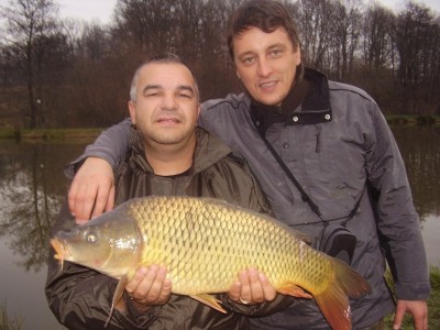 fishee