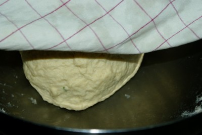 gogosi 03 gogosi 03