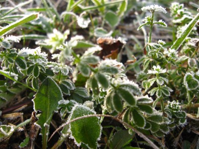 IMG_8722 IMG_8722