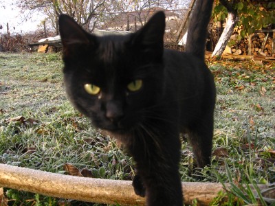 brumar brumar