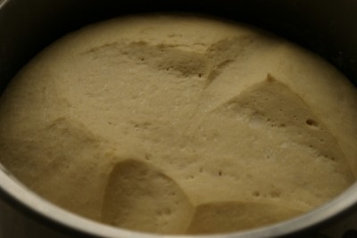 pita rasucita 10 pita rasucita 10