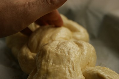 pita rasucita 17 pita rasucita 17