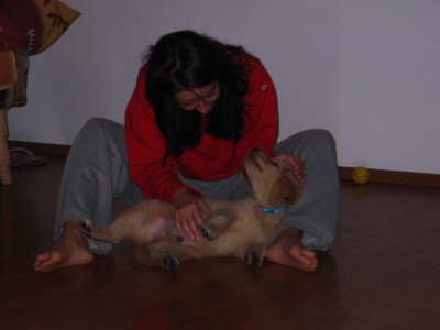 tito16 tito16