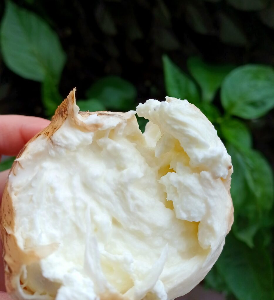 Mozzarella de bivoliță afumată