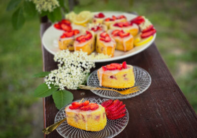 2.prezentare iniţială chec