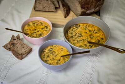 2.prezentare iniţială