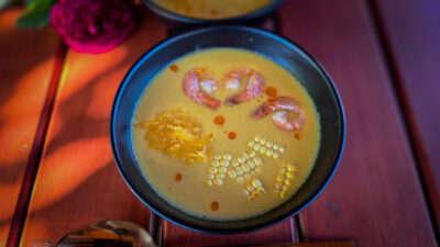 9.prezentare finală