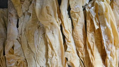 Foi de plăcintă coapte