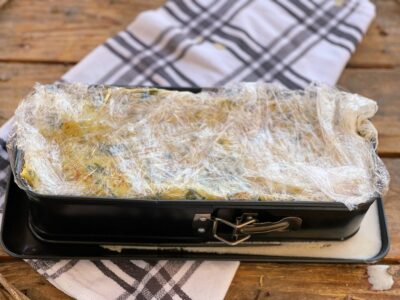 terina ciuperci infoliere