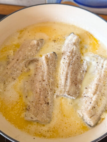 5. Posare file de păstrăv