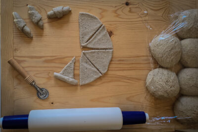 7.formarea cornulețelor