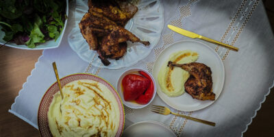 2.prezentare iniţială pui