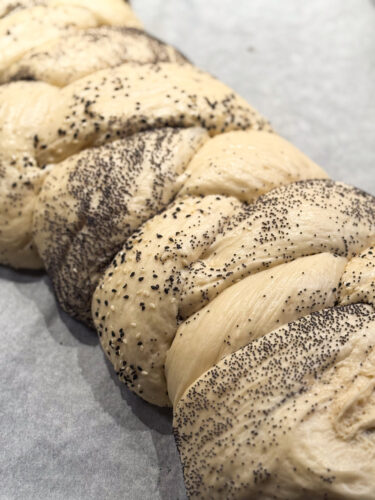 5. Painea callah dospita