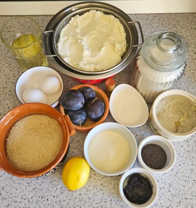 Ingrediente papagomboți